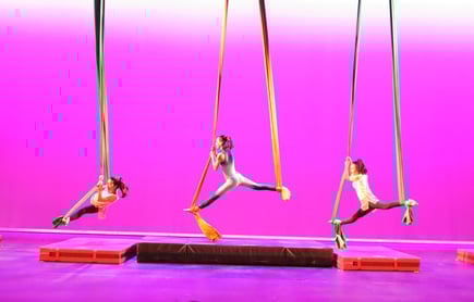 Dance & Aerial 1 Large