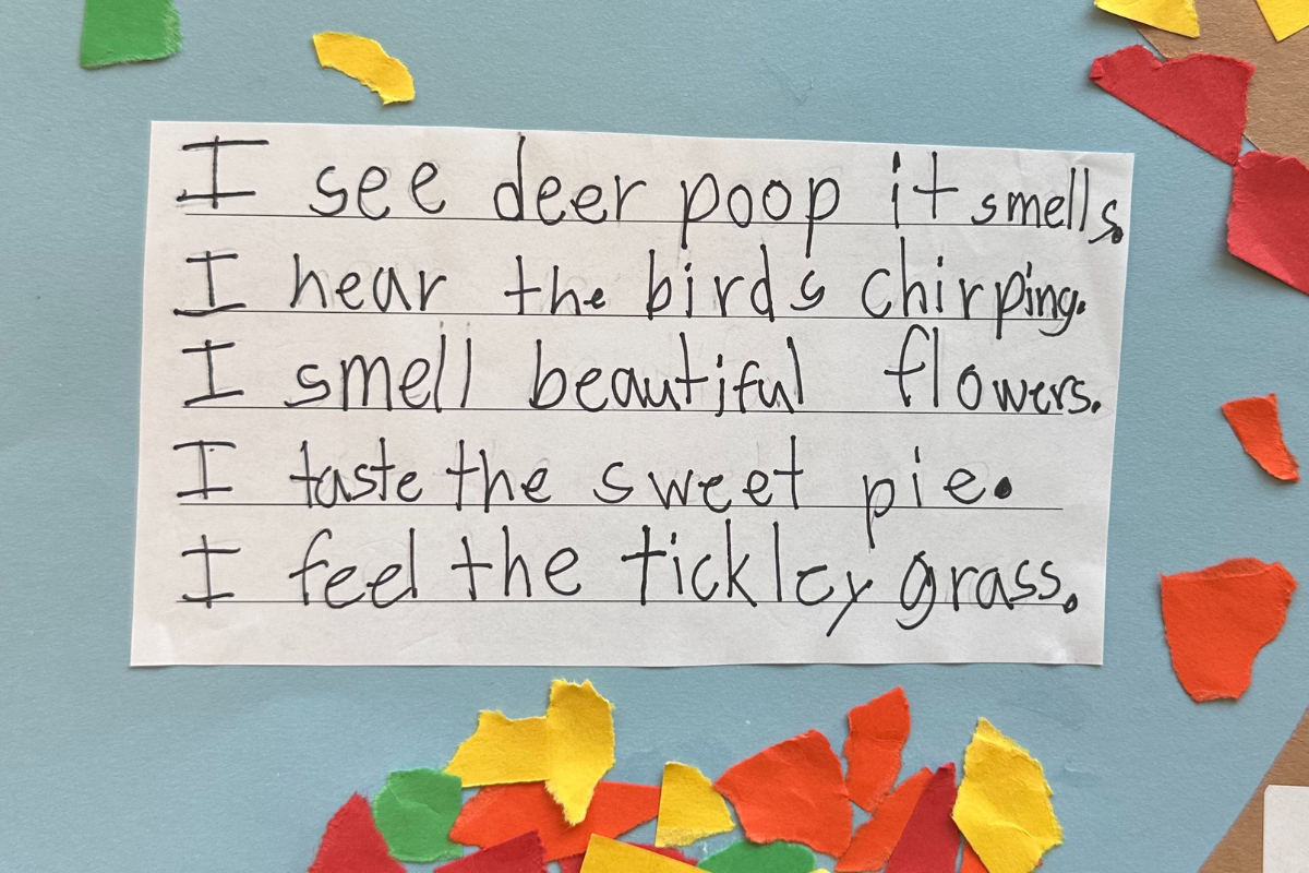 Friends Academy Forest Second Grade Science Poetry Combined Lesson 4