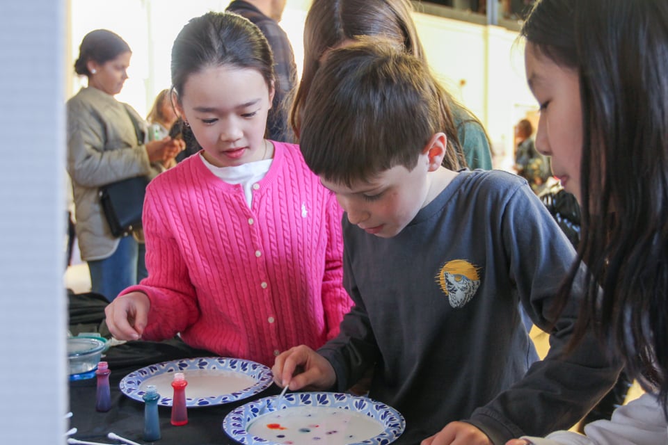 LS 4th Grade Science Fair 24-6