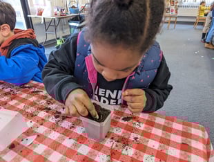 Girl plants seed in small cup of soil
