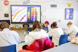 Peace Week 2026 at Friends Academy explored the theme of “Peace as Collective Responsibility.”