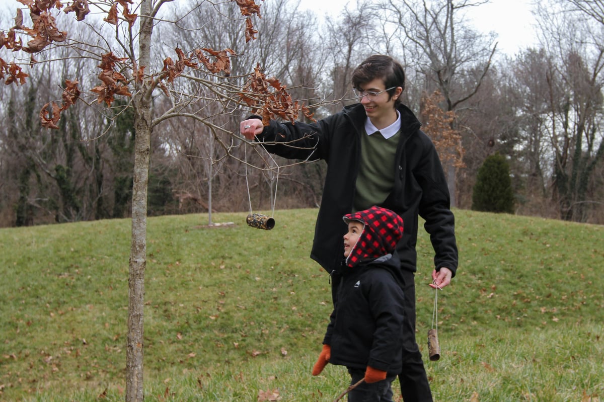 sustainability hanging bird feeders