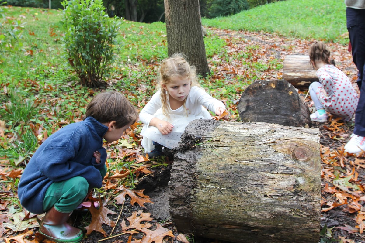 boy and girl examining log