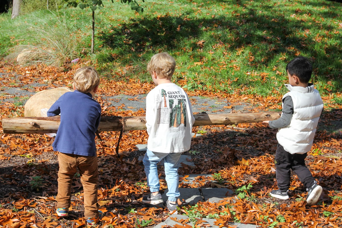 boys moving log