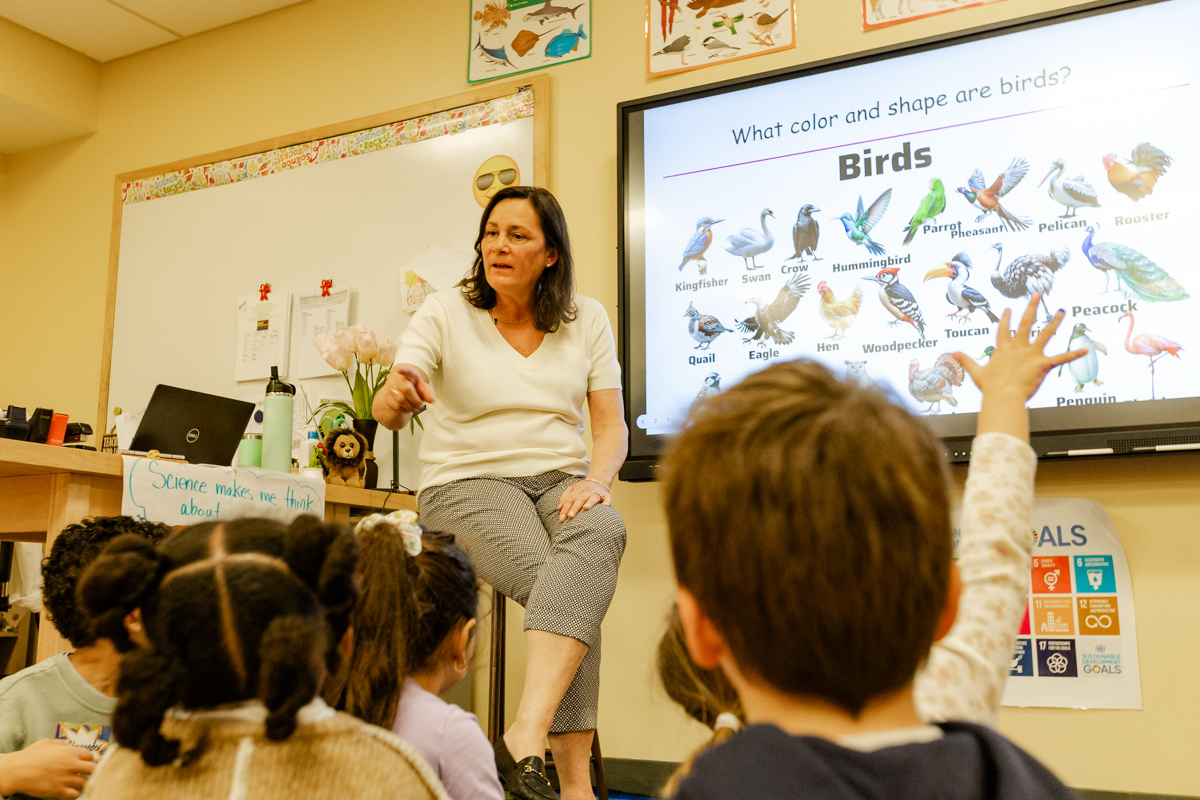 Friends Academy Pre-K students visited the Lower School Science Lab for the first time and interacted with recently hatched quail chicks.