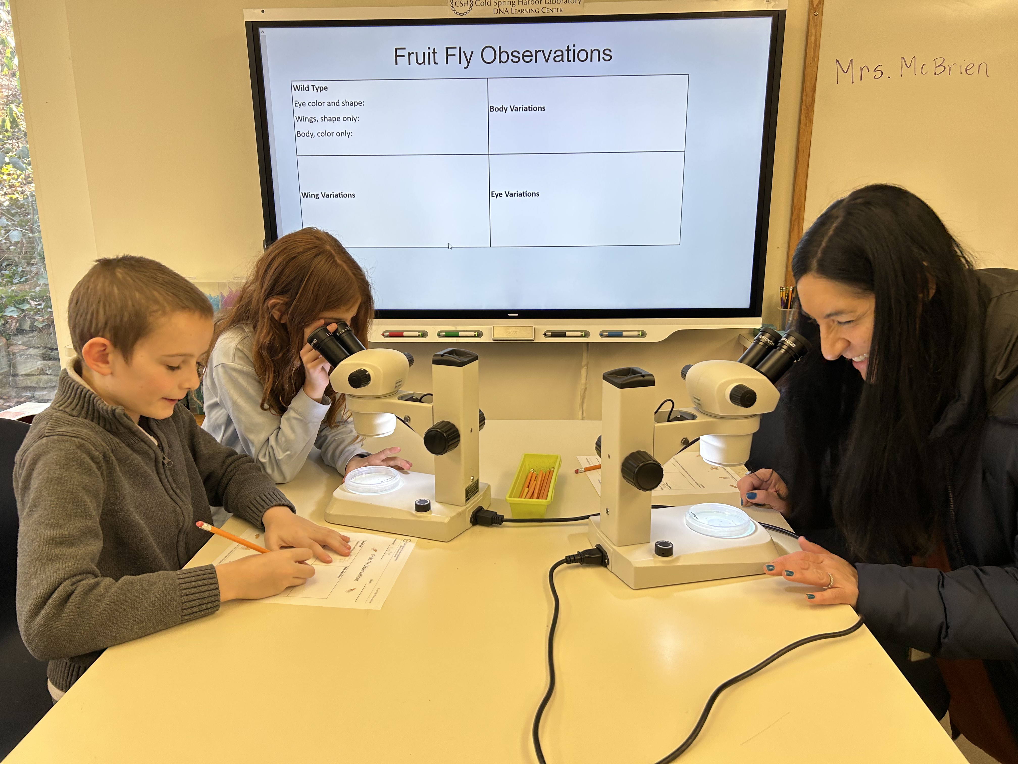 3rd graders enhance their studies at CSHL DNA Learning Center-image