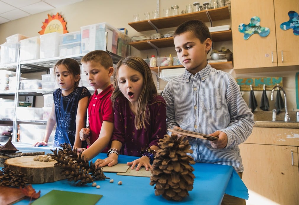 lower-school-students-looking-at-pinecone