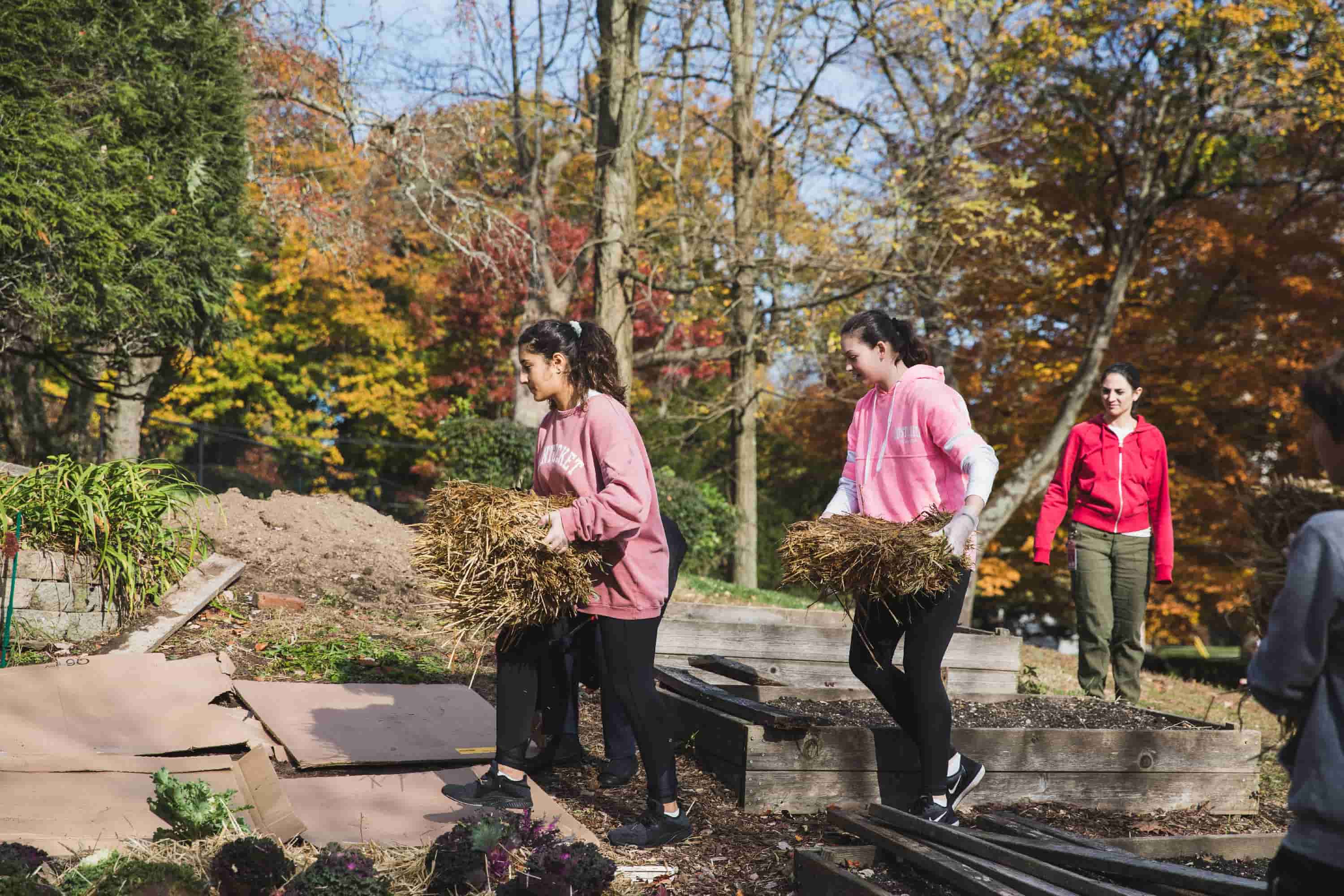 stewardship_students doing yardwork